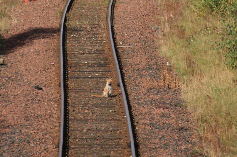 Photo of Trespass Its behind you