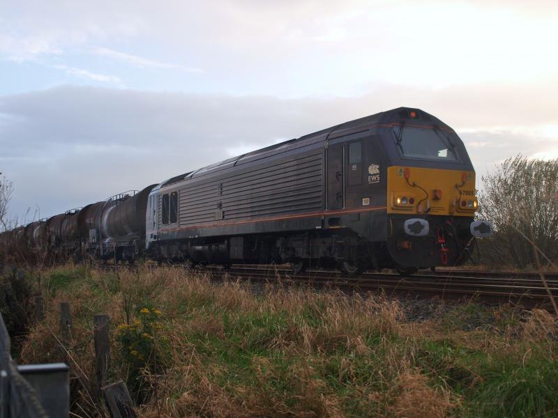 Photo of Barassie - 03-11-2011