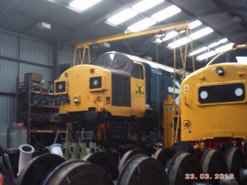 Photo of 37025 in the shed