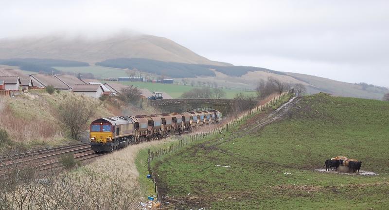 Photo of Cows don't trainspot