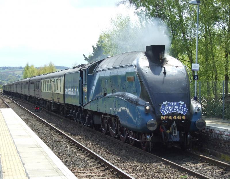 Photo of 60019 Bittern at Ladybank