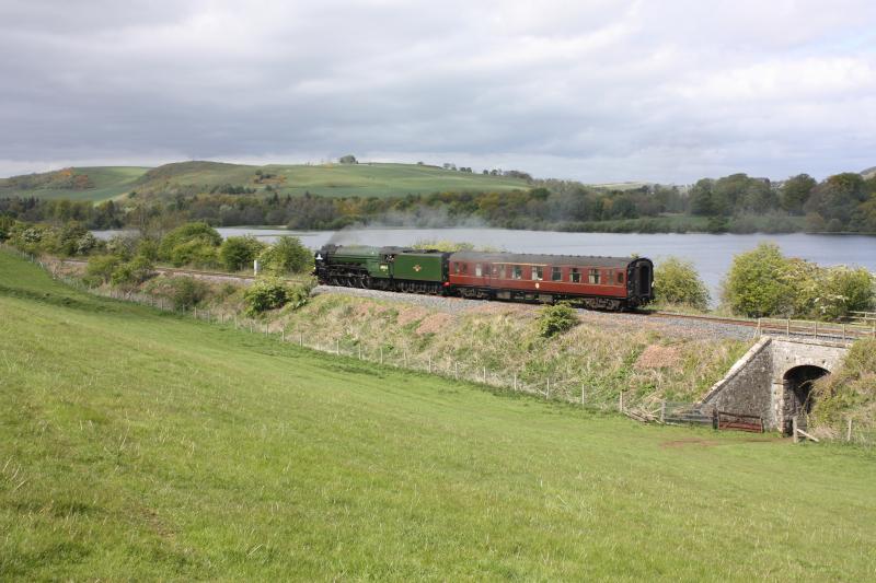 Photo of 60163 'tornado' passing lindores lake.