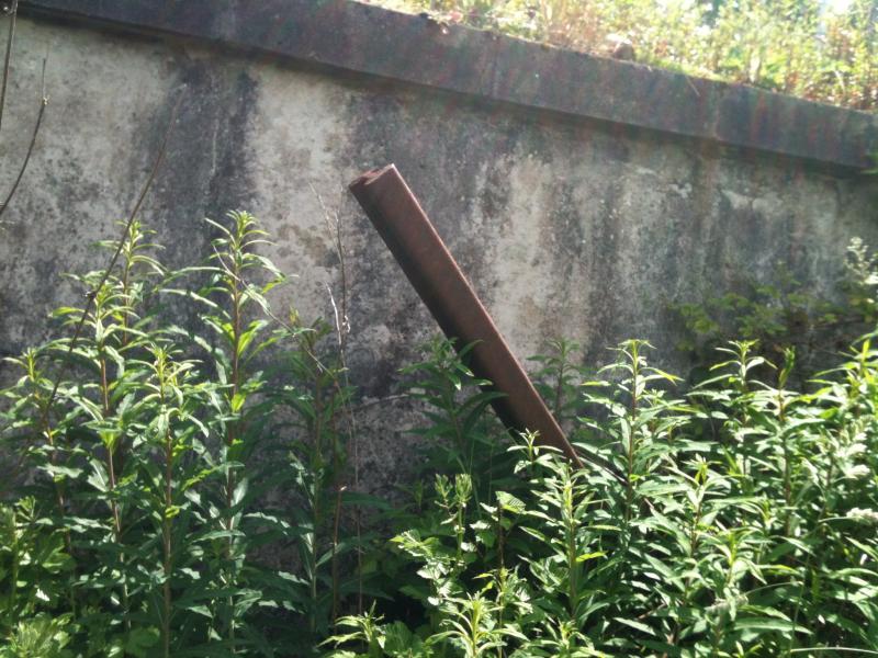 Photo of Paisley Canal - Elderslie