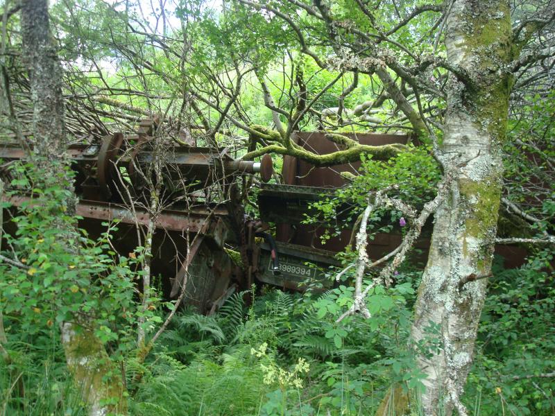 Photo of Glen Falloch Mermaids Still Resting Peacefully!