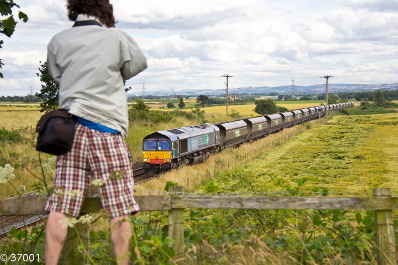 Photo of Semwez's shorts next to 66419