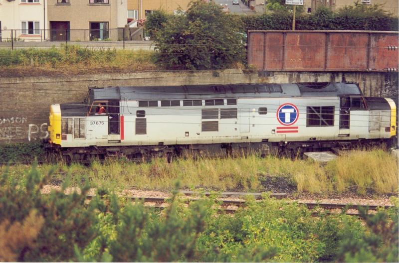 Photo of Class 37 at Cockenzie PS