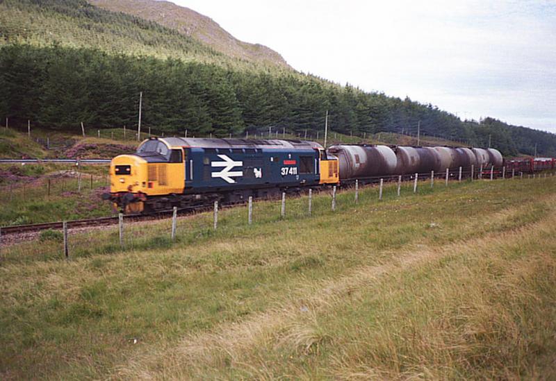 Photo of 37411 The Institution of Railway Signal Engineers.