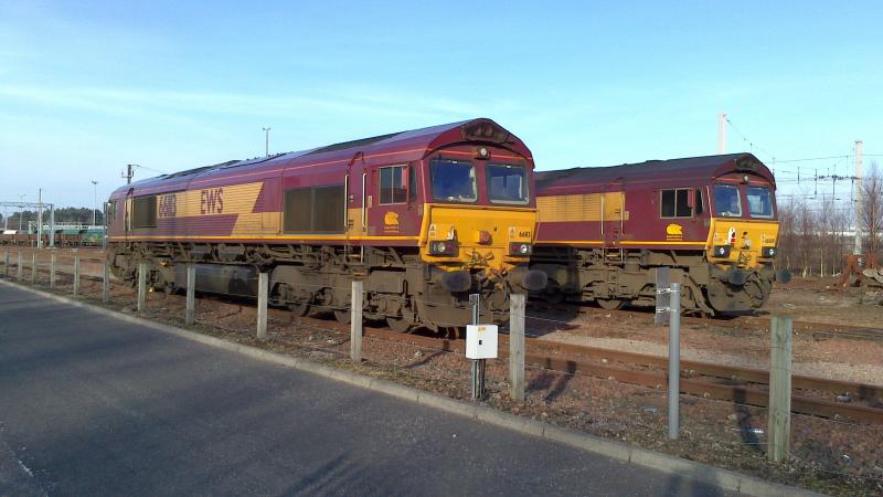 Photo of 66113 at Mossend Yard