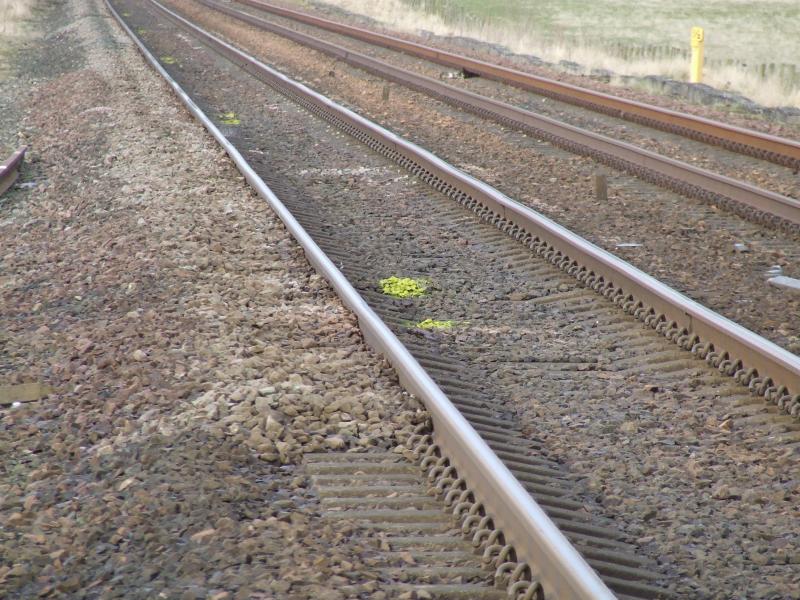 Photo of Mysterious paint in four-foot near Bow of Fife LC