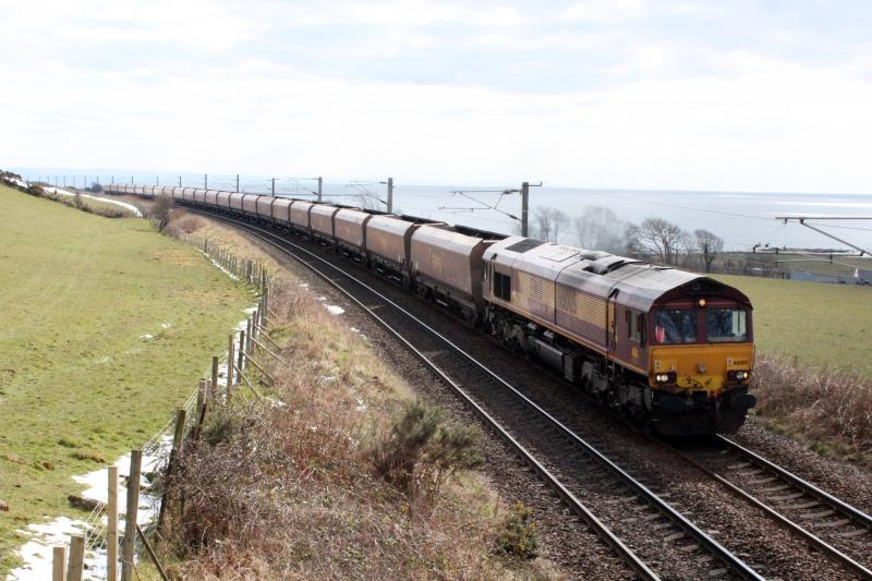 Photo of shed empties