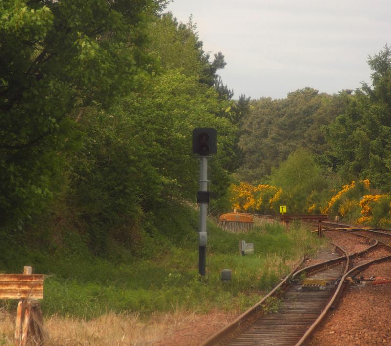 Photo of A mystery signal