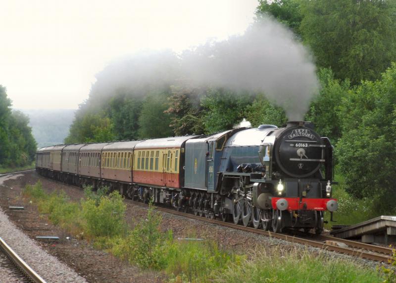 Photo of 60163 passes Larbert with 1Z64 Edinburgh - Edinburgh Forth Circle tour.