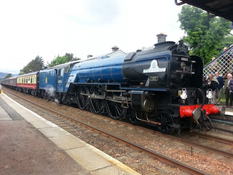 Photo of 60163 Tornado @ Kingussie 15/6/13