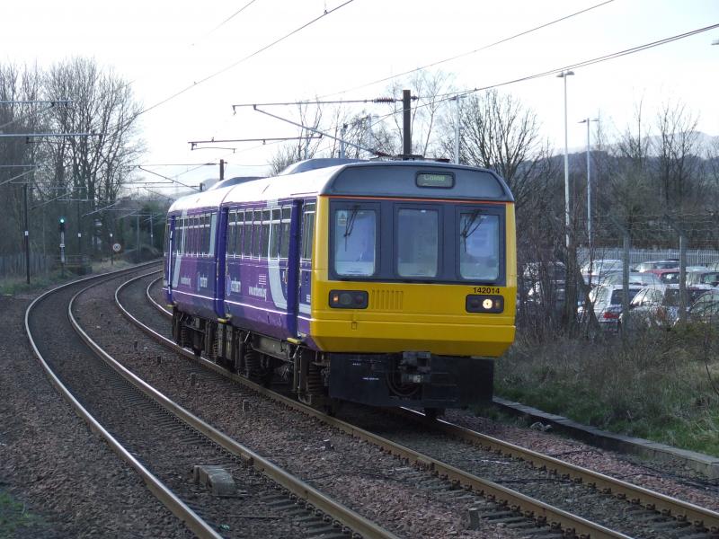 Photo of Northern Pacer