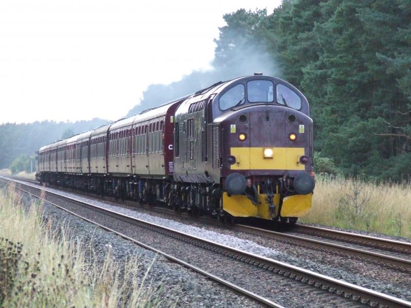 Photo of 37516 on Railtour ECS