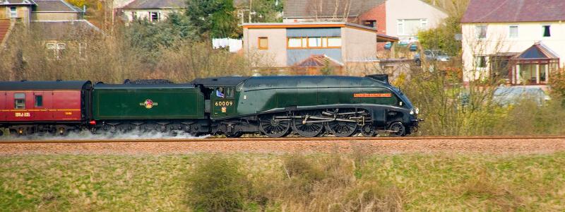 Photo of 60009