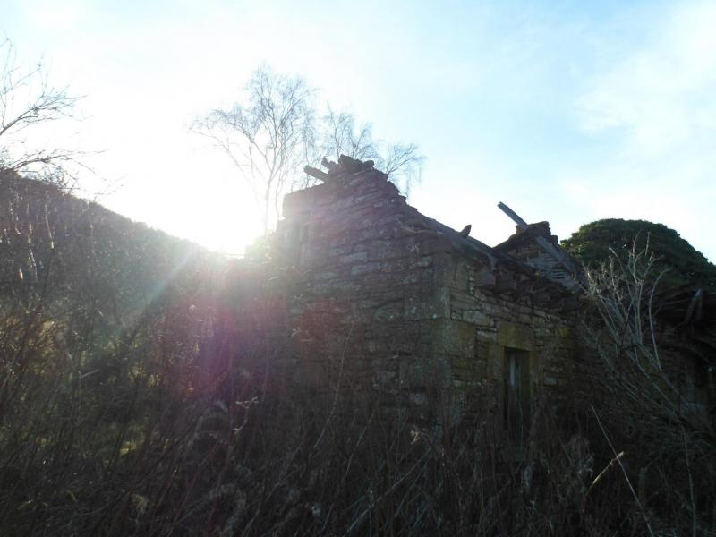 Photo of The Old Cottage at Fodderty Junction 2013