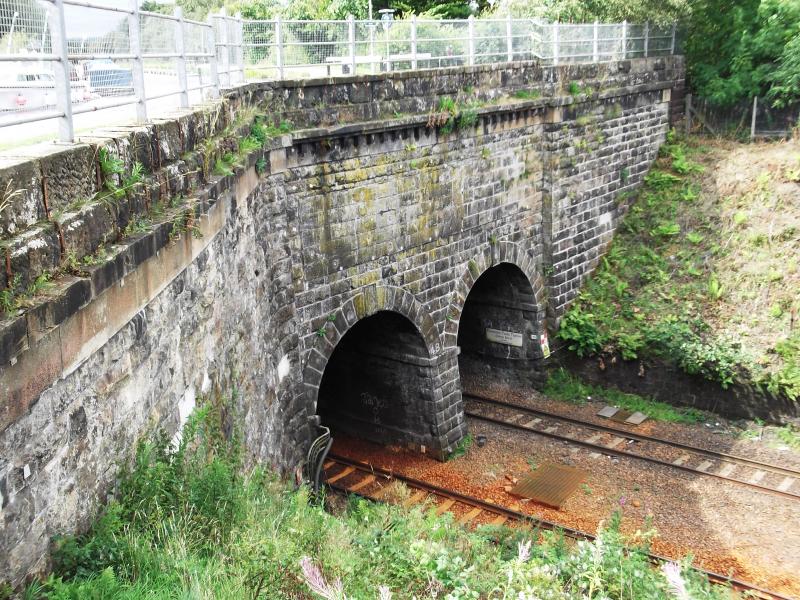 Photo of North side of Carmuirs Tunnels