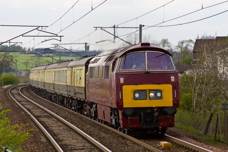 Photo of D1015 at Carluke