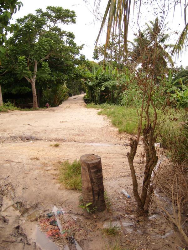 Photo of East African Tropical Railway