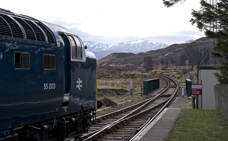 Photo of ROYAL SCOTSMAN  (7).jpg