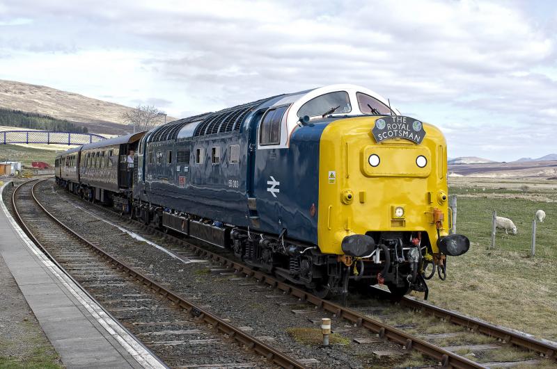 Photo of ROYAL SCOTSMAN  (6).jpg