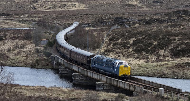 Photo of ROYAL SCOTSMAN  (2).jpg