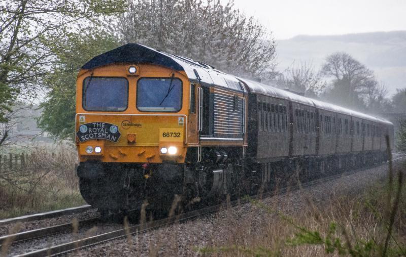 Photo of 66732