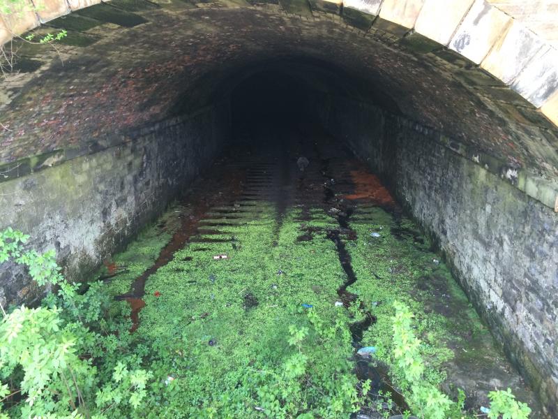 Photo of Uncovered Entrance to Alloa Central Junction tunnel.