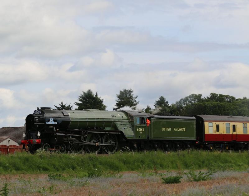 Photo of 60163_Tornado_Highland Rambler