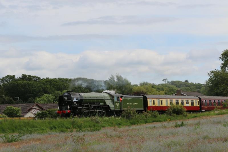 Photo of 60163_Tornado_Highland Rambler