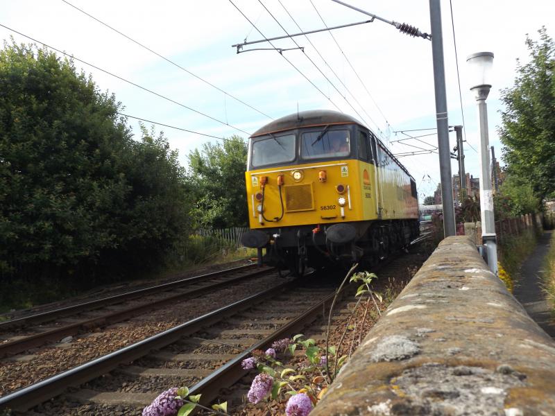 Photo of 56302