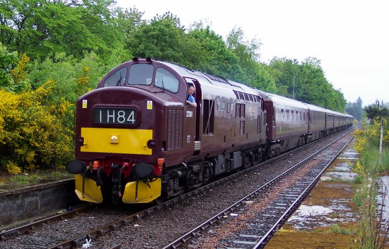 Photo of 37 261 on Royal Scotsman