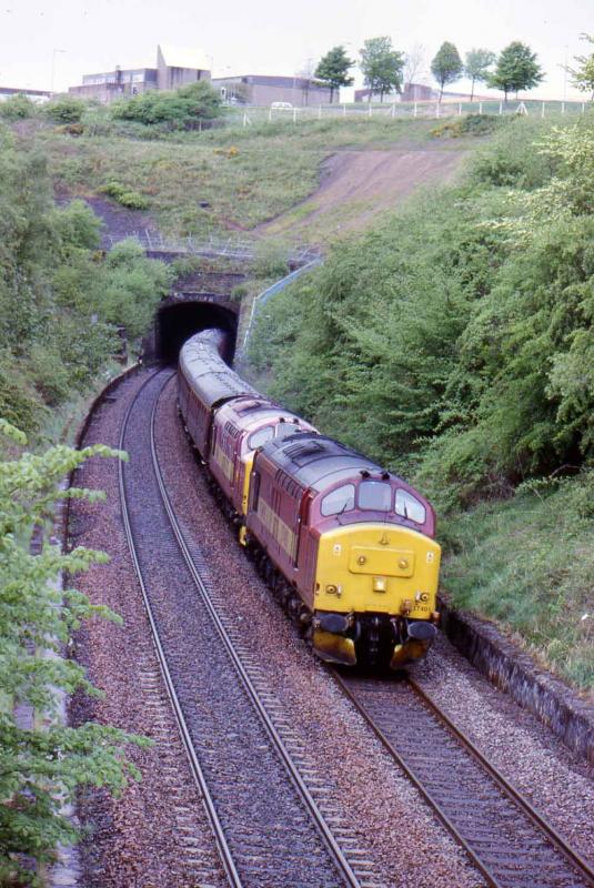 Photo of 37401 leads 37670 out of Falkirk High Tunnel on 10 May 2009 copy.jpg