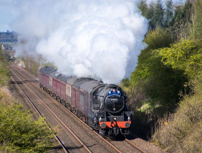 Homepage photo of 44871