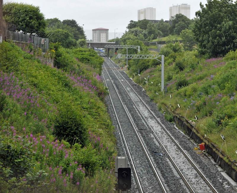 Photo of Masts Encroaching Onto the Cowlairs Incline