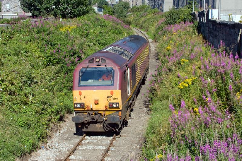 Photo of Skip on the Brachline