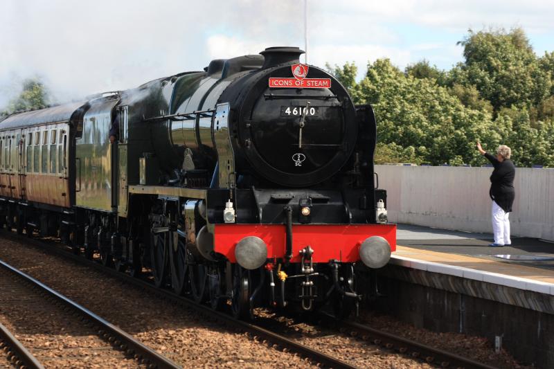 Photo of ROYAL SCOT