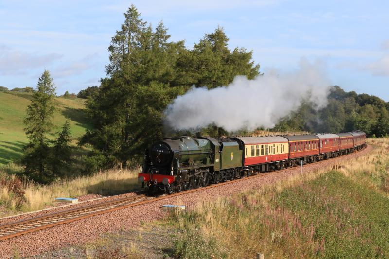 Photo of Cowbraehill in the Sun