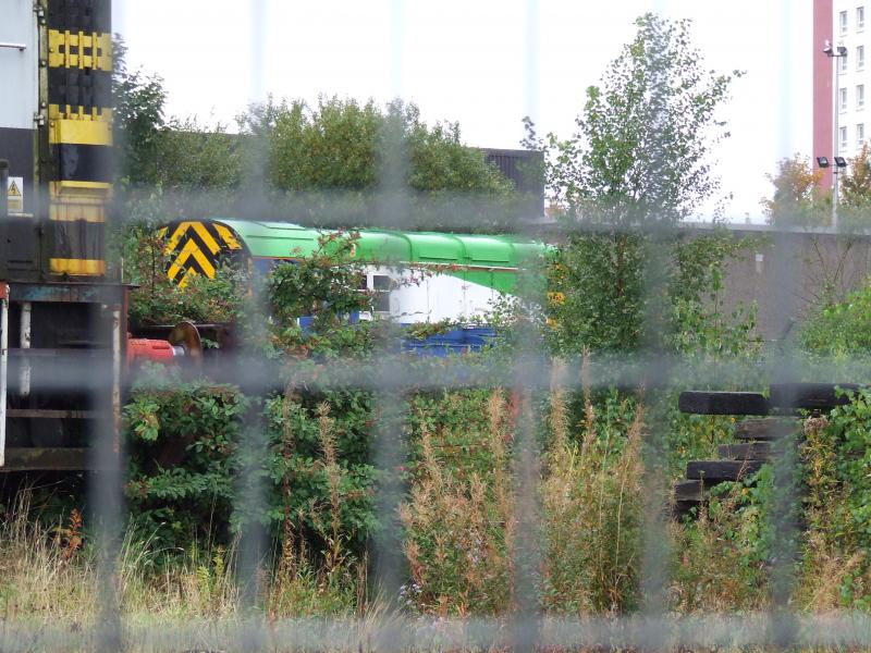 Photo of Class 08 at Glasgow Works