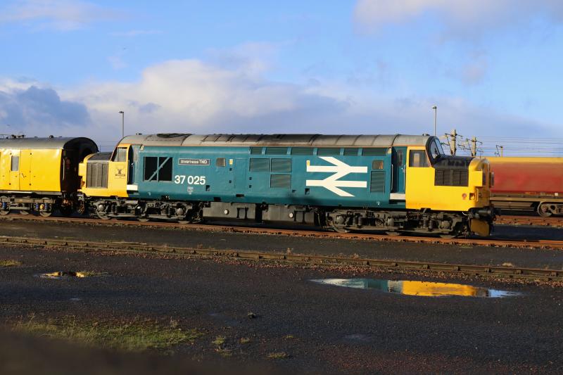 Photo of 37025 on test train in Falkland yard