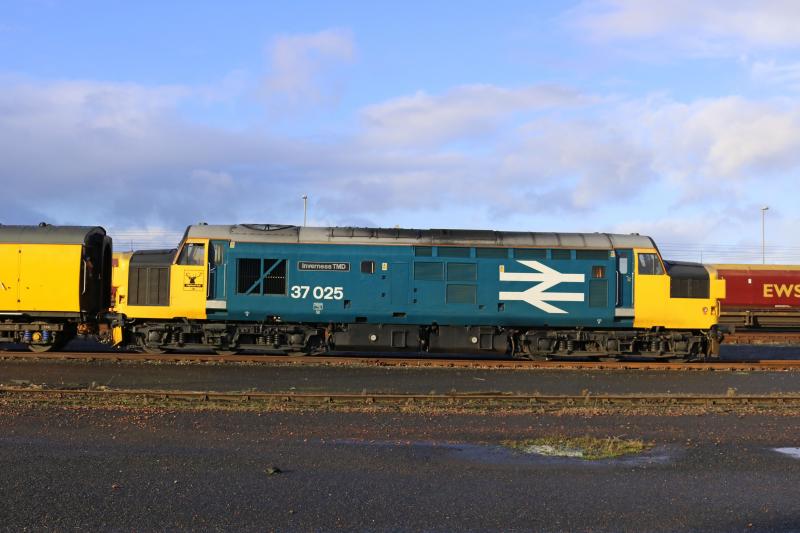 Photo of 37025 stabled in Falkland yard