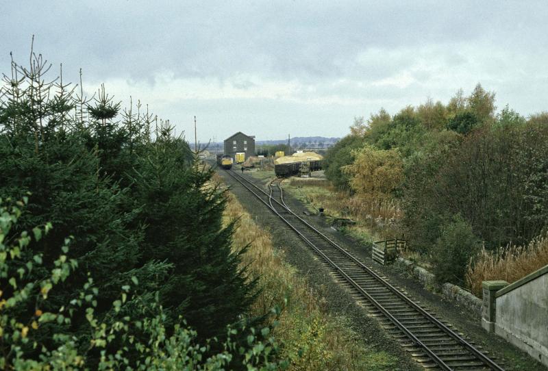 Photo of EASSIE LIME PILE