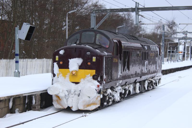 Photo of 37516 'Loch Laidon' in the snow (0Z99) @ Springburn (02/03/18)