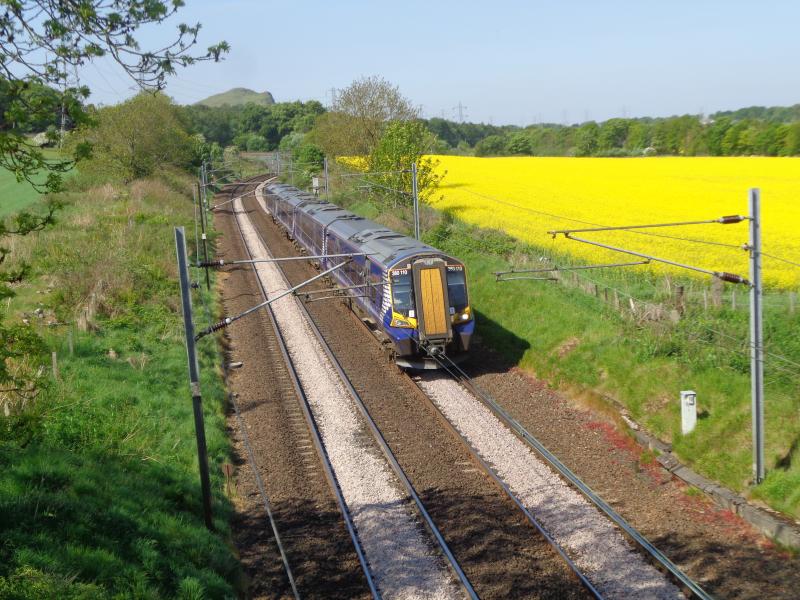 Photo of 380 and oilseed rape