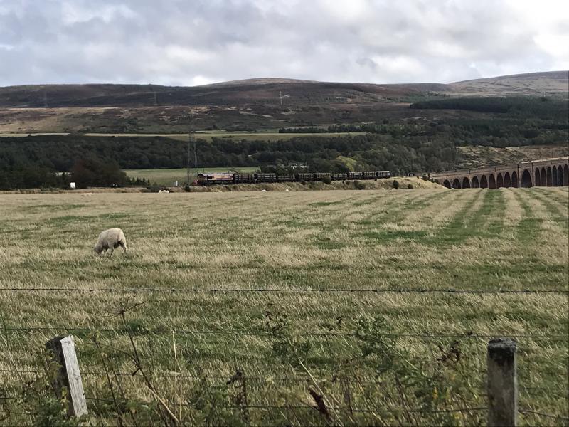 Photo of Culloden derailment