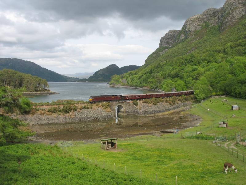 Photo of 47826 at Craig Highland Farm