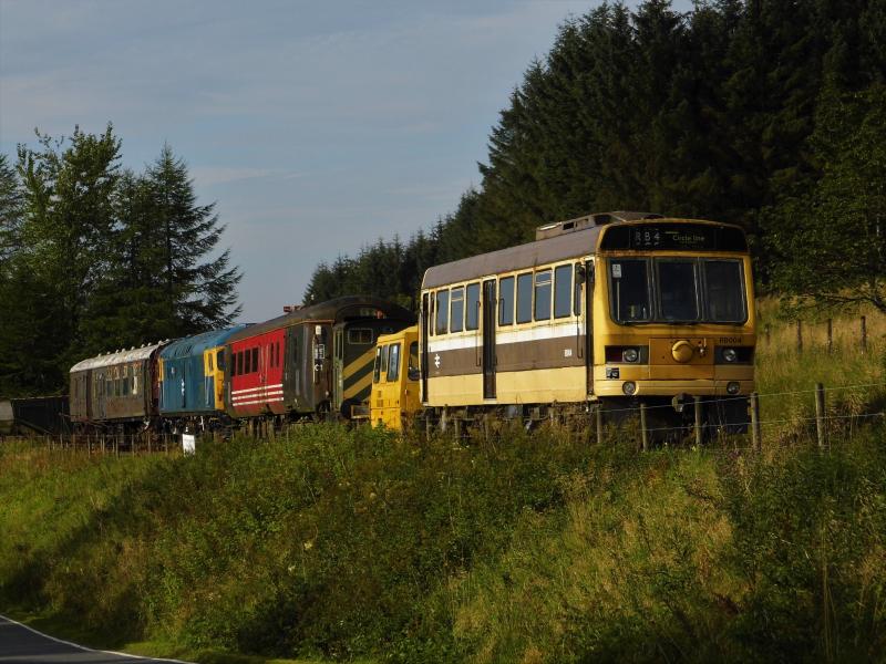 Photo of Stock line up Whitrope 24/08/19