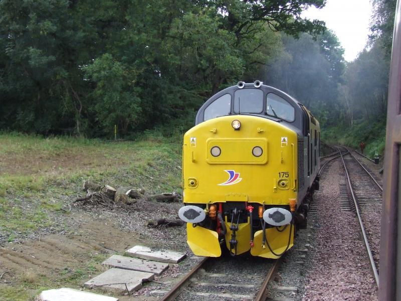 Photo of 37175 runs round at Birkhill