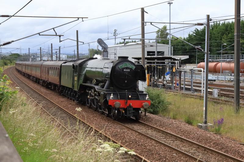 Photo of 60103